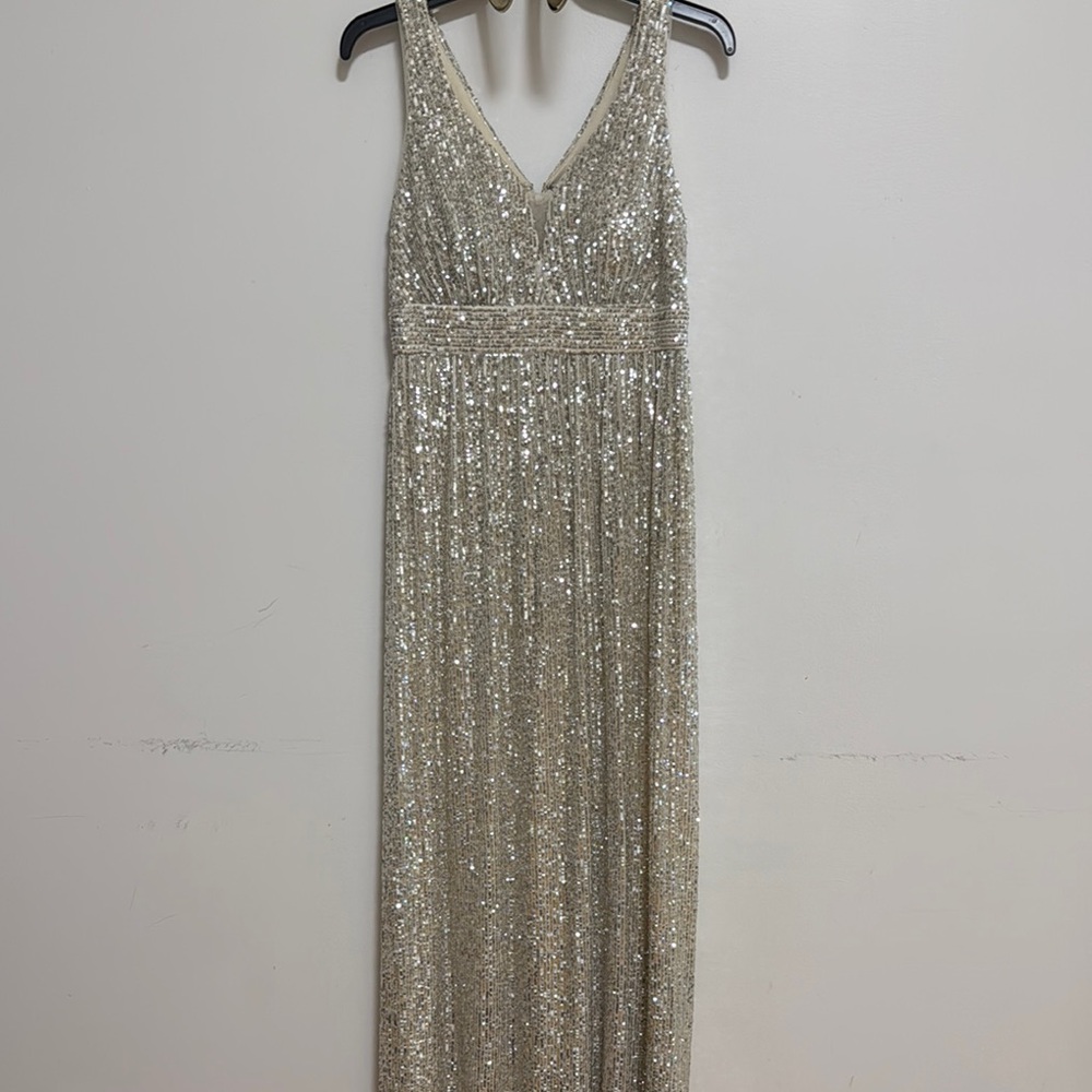 Elegant Silver Sequin Gown